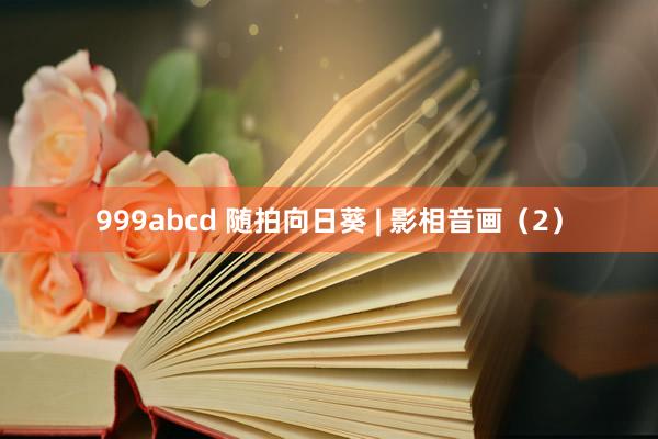 999abcd 随拍向日葵 | 影相音画（2）