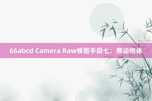 66abcd Camera Raw修图手段七：挪动物体