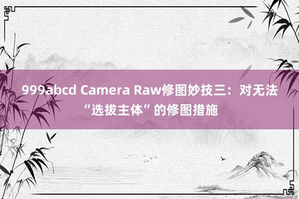 999abcd Camera Raw修图妙技三：对无法“选拔主体”的修图措施