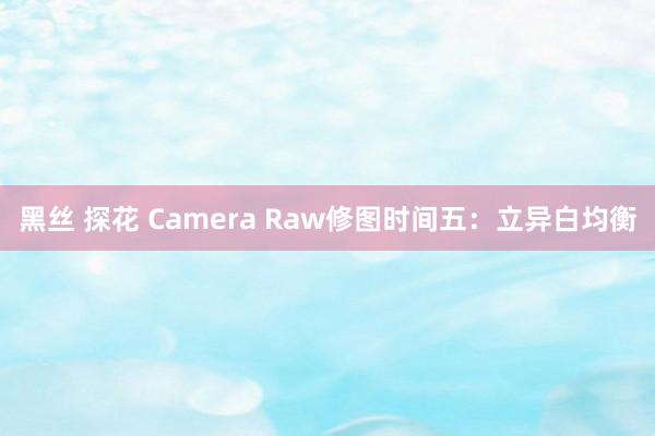 黑丝 探花 Camera Raw修图时间五：立异白均衡