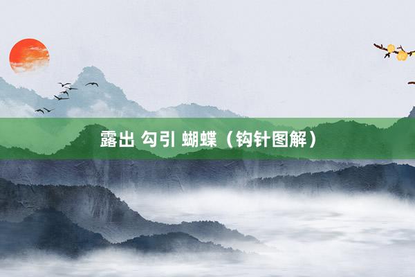 露出 勾引 蝴蝶（钩针图解）