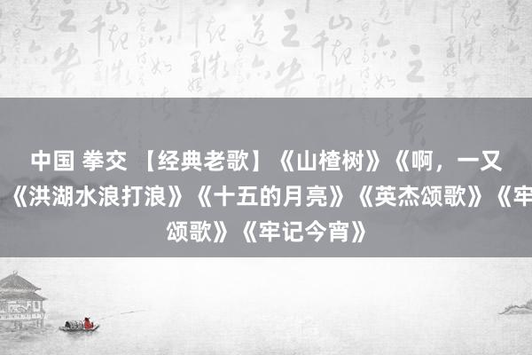 中国 拳交 【经典老歌】《山楂树》《啊，一又友重逢》《洪湖水浪打浪》《十五的月亮》《英杰颂歌》《牢记今宵》