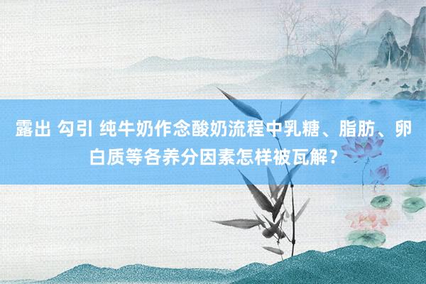 露出 勾引 纯牛奶作念酸奶流程中乳糖、脂肪、卵白质等各养分因素怎样被瓦解？