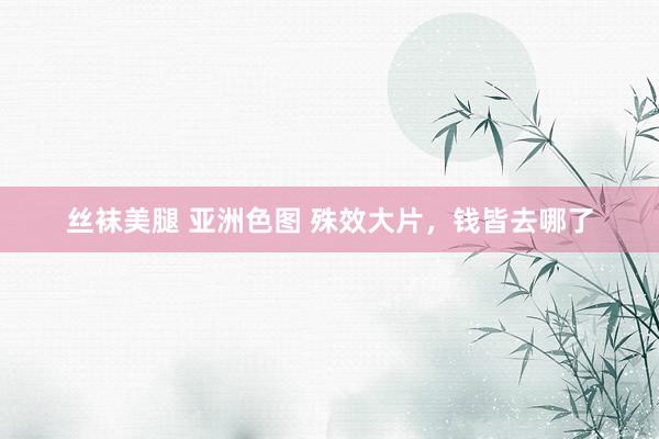 丝袜美腿 亚洲色图 殊效大片，钱皆去哪了